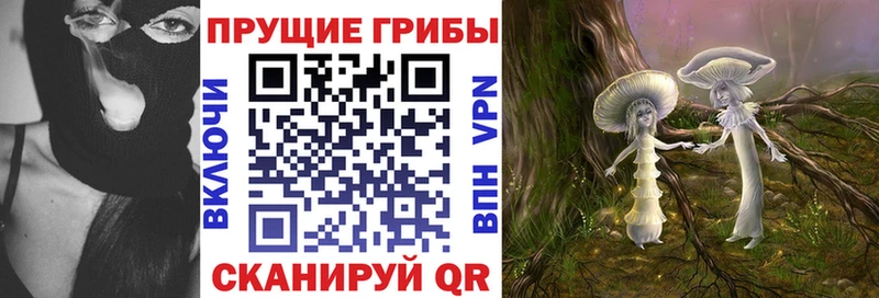 наркошоп  Бронницы  Галлюциногенные грибы Psilocybe 